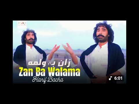 Zan Ba Walama | Hanif Bacha | Pashato New Song🎵 2025 | Pashto Tappy | زان بہ ولمہ  |HD Video |