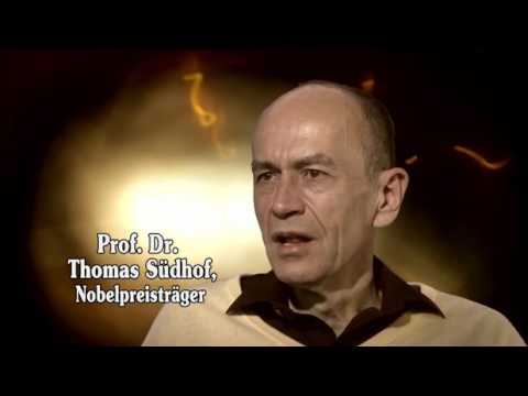 2015 01 07 dctpTV Ich bin Hirnforscher