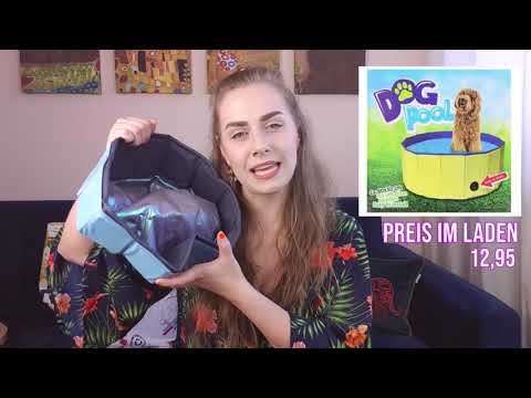 Action live shopping haul // Tierprodukte einkaufen & Produkttest für Katzen // Amely Rose & CatWalk