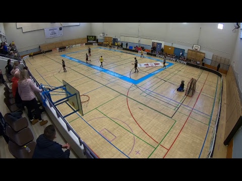 17.2.2019 Welhot 06 Keltaiset - Pisaba