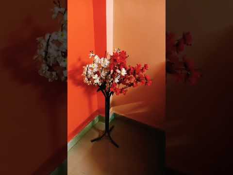 Flower Manika☺️😊💐💐