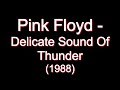 Pink Floyd Delicate Sound Of Thunder Full Album