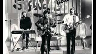 The Standells - The Swim