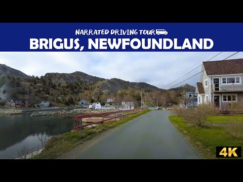 🚗 Brigus, Newfoundland 🌅 4K Drive
