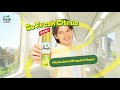 BARU So Fresh Citrus Rahasia AntiEnegAntiTepar Yang Ril Seger Bener