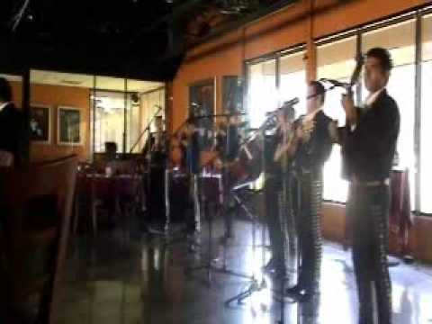 Mariachi de Mi Tierra - Sabor a mi