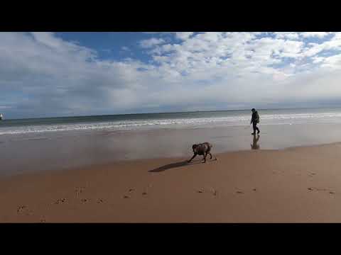 #BlythBeach #TravelUK