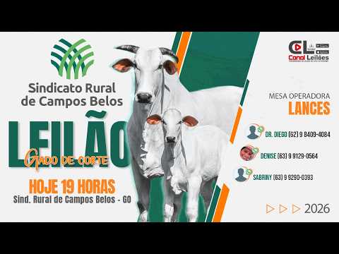 Canalleiloes.com | LEILÃO GADO DE CORTE S.R. DE CAMPOS BELOS - GOIÁS