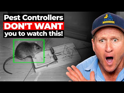 STOP Paying for Pest Control… Twins Reveal why