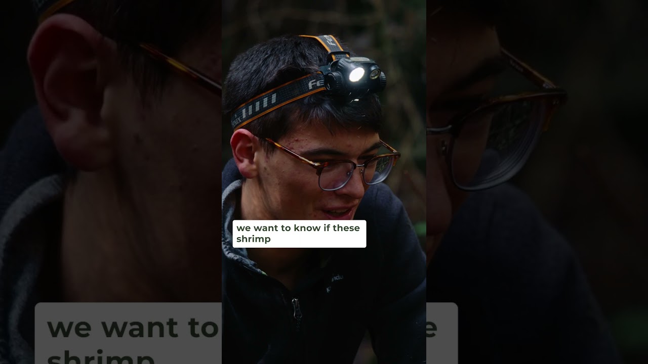 Video 3 Thumbnail
