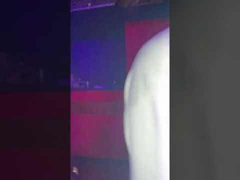 ST.E.P. ESN Pavia - 2022 recap