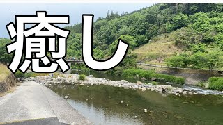 【vlog】週6勤務の会社員女/平日休み
