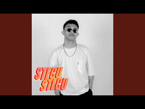 Stecu Stecu