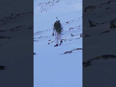 Otrolig ripjakt i snölandskap | Jakt är Jakt