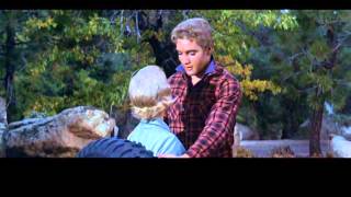 &#39;Tender Feeling&#39;  Elvis Presley Best Video and Stereo Sound