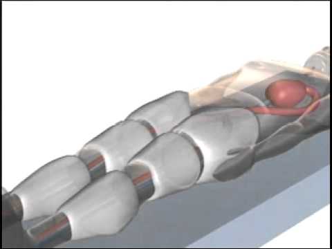 EECP Working Explanation Heal Your Heart