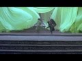 Hero Artistic Fight Sceen Green