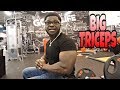 RAW Must Do Exercises For BIGGER TRICEPS!!