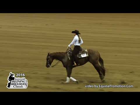 Magnamus ridden by Hannah Mitchell  - 2016 NRBC (NP Derby)