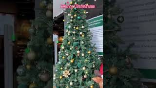 Merry Christmas &amp; Happy New Year🎄