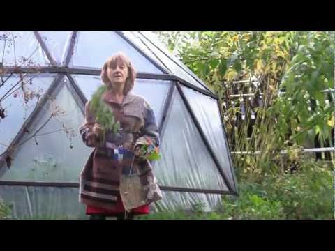 EKOCENTRUM ICPPC(2) - Ogród ziołowy