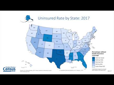 Who Are the Uninsured?