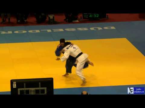 Judo 2014 Grand Prix Dusseldorf: Akimoto (JPN) - van t Westende (NED) [-73kg]