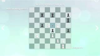 Zen Chess: Champion's Moves (PC) Steam Key EUROPE
