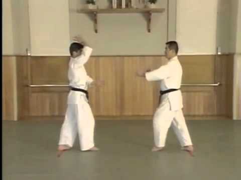 Shomen Uchi Sankajo Osae 2