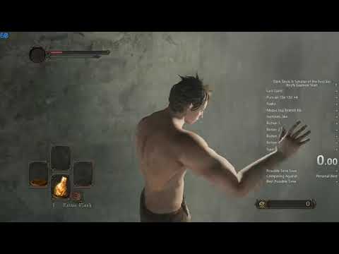 Dark Souls 2 Scholar Any% Speedrun Tutorial (Updated)