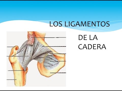 Un analgésico fuerte para el dolor en las articulaciones Ungüento con osteocondrosis cervical