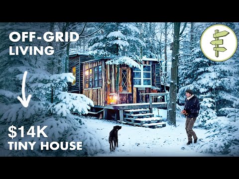 Self-Sufficient Man Built an Off-Grid Tiny House Homestead & Lives on a Budget
