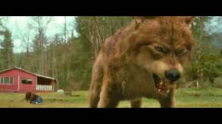 New Moon in action(Look to your orb for the warning)