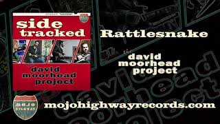 "Rattlesnake" from my latest album Side Tracked