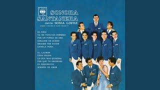 Canela Pura