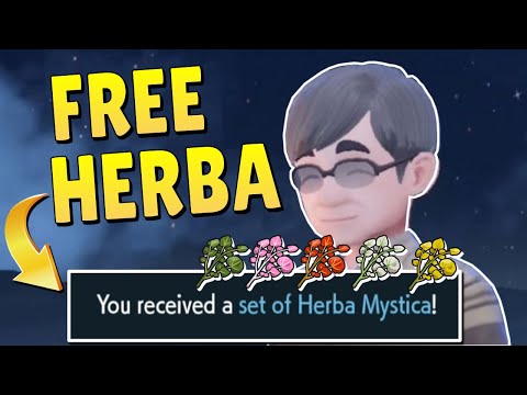 How To Get 10 FREE HERBA By Collecting All Table Cloths - Pokemon Scarlet Violet DLC