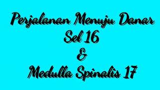 preview picture of video 'My Trip SEL 16 & Medulla Spinalis 17 Part 2'