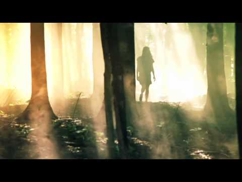 Marie-Pierre Arthur: Déposer les armes