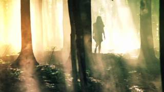 Déposer les armes Music Video