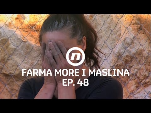 Povratak otpisanih - Epizoda 48 | Farma More i Maslina