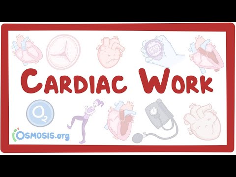 Potassium homeostasis an Osmosis Preview