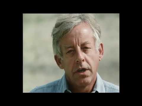 DER AUTOTEST - Ford Fiesta von 1976