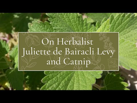 On Herbalist Juliette de Bairacli Levy and Catnip