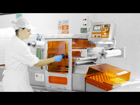 AUTOMATIC IN LINE TRAY SEALER FOR MAP AND SKIN PACK - LINEA 470