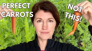 How to Grow CARROTS & what REALLY Works from Sowing Carrot Seeds to Harvest