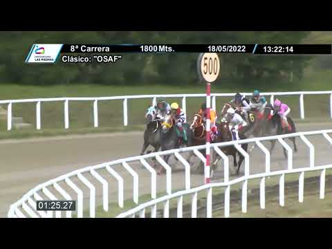 220518 c08 - ONTHEFIELD - GRAN PREMIO "OSAF" -  HIPODROMO LAS PIEDRAS