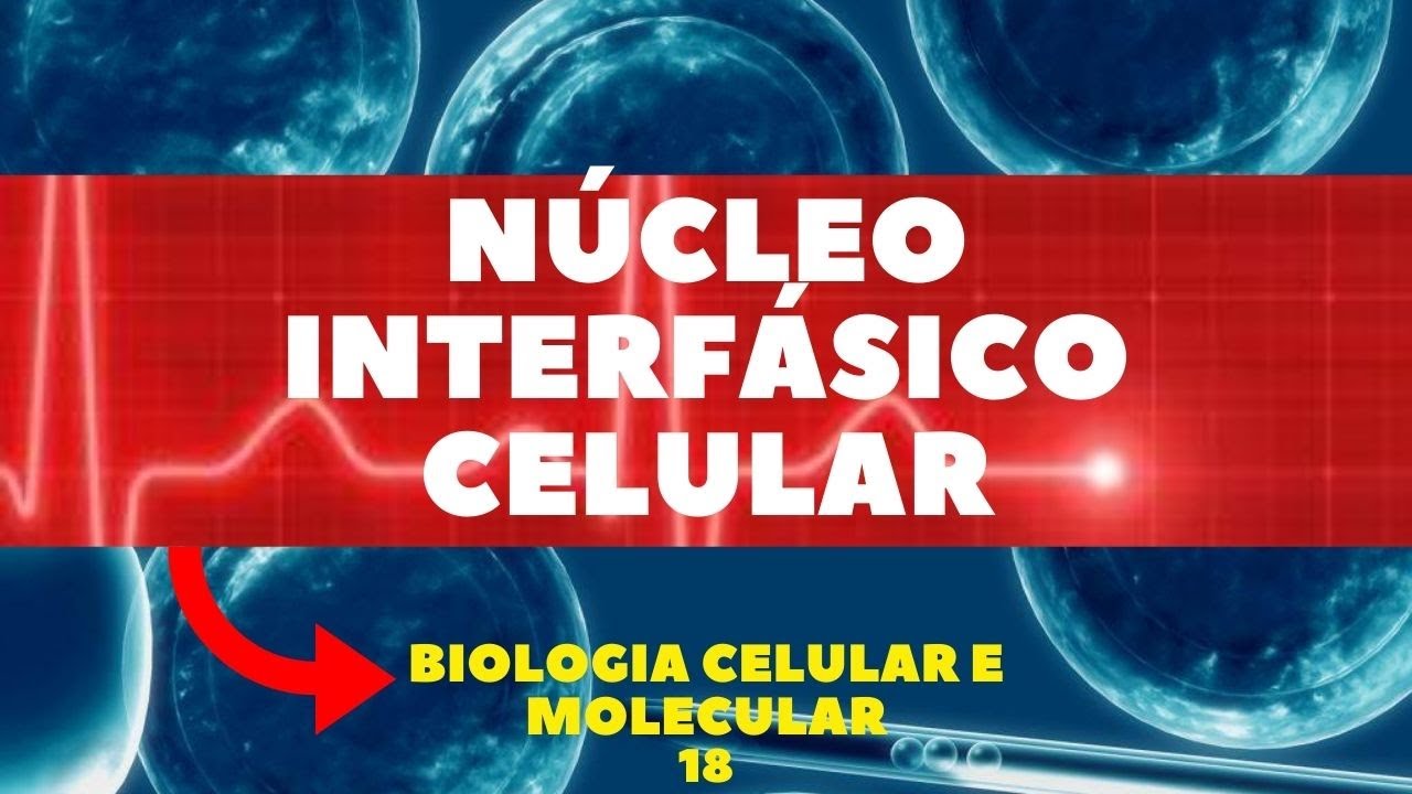 NÚCLEO INTERFÁSICO CELULAR - BIOLOGIA CELULAR E MOLECULAR