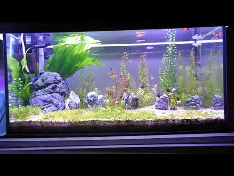 Update akwarium - pełna optymizmu