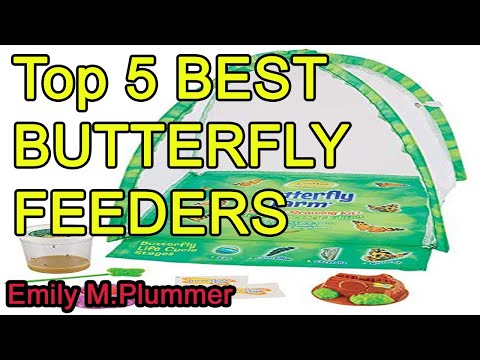 Top 5 BEST BUTTERFLY FEEDERS 2022
