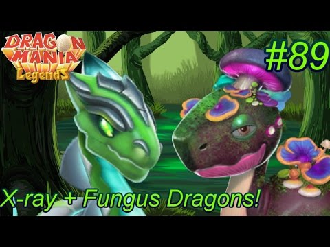 Dragon Mania Legends PC #89 - X-Ray and Fungus Dragon Hatching!
